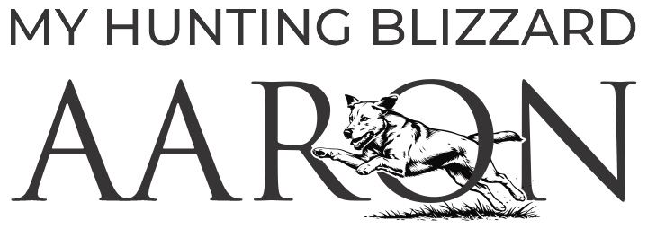 Labrador Deckrüde aus jagdlicher Leistungszucht im Westerwald